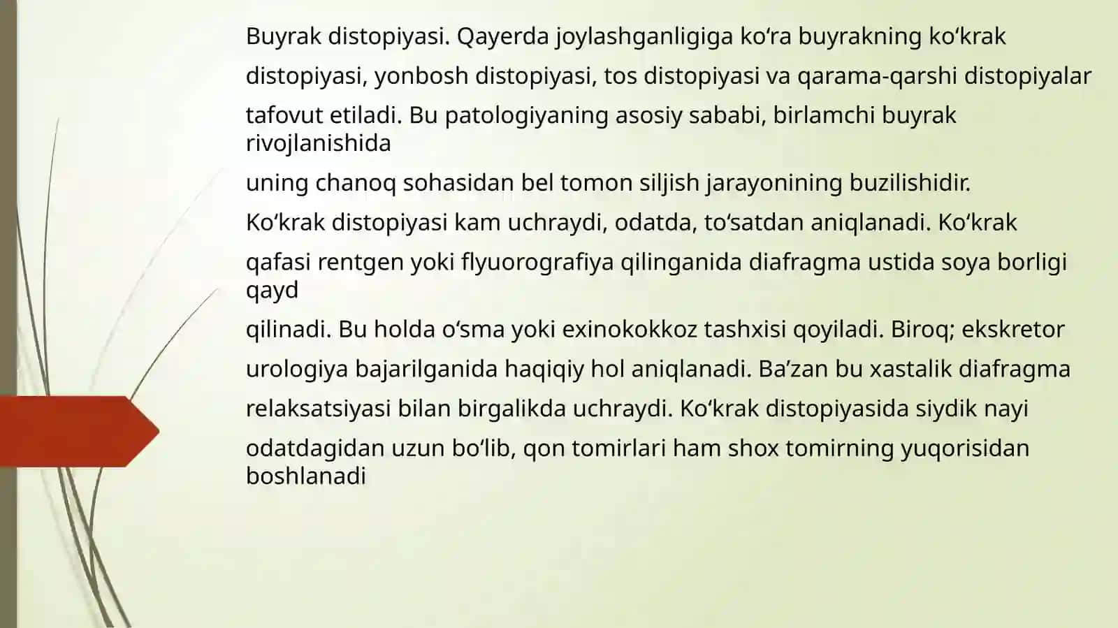 BUYRAKLARNING TUG’MA VA ORTTIRILGAN DISTOPIYASI,TAQASIMON BUYRAK VA ULARNI OPERATIV DAVOLASH USLUBLARI 2