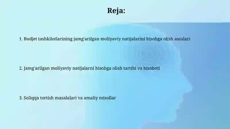 Budjet tashkilotlarining jamgarib boriluvchi moliyaviy natijalari hisobi 2