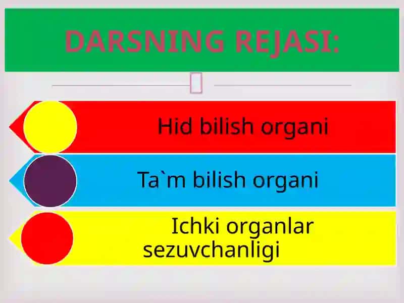 HID BILISH VA TA`M BILISHORGANLARI 2