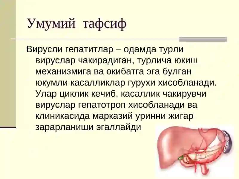 Вирусли гепатитлар 2