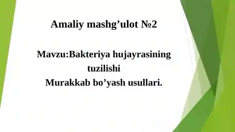 Bakteriya hujayrasining tuzilishi 2