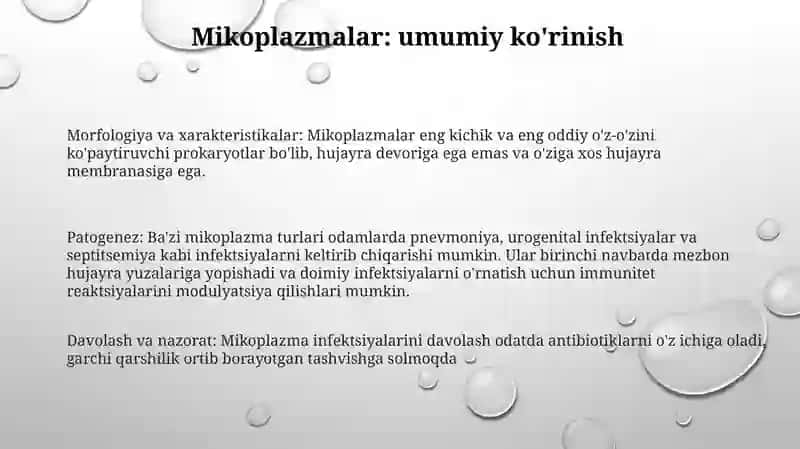 Mikoplazmalar 2