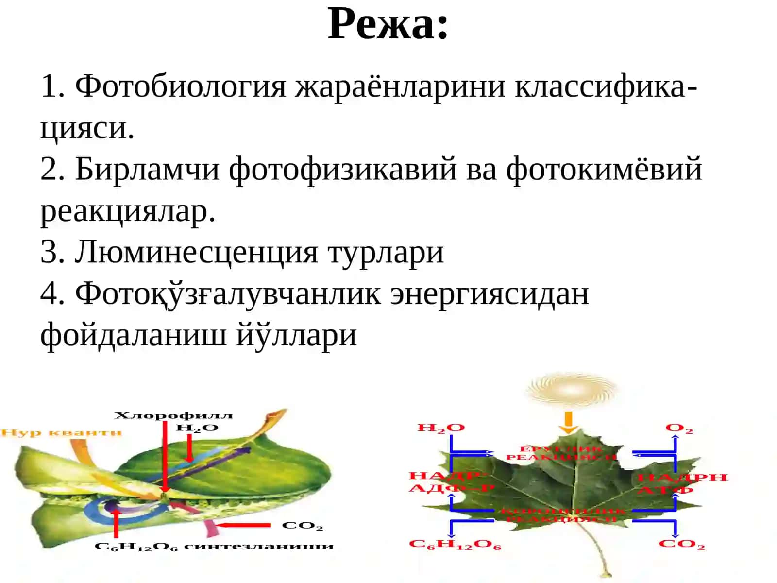 Фотобиология муаммолари 2