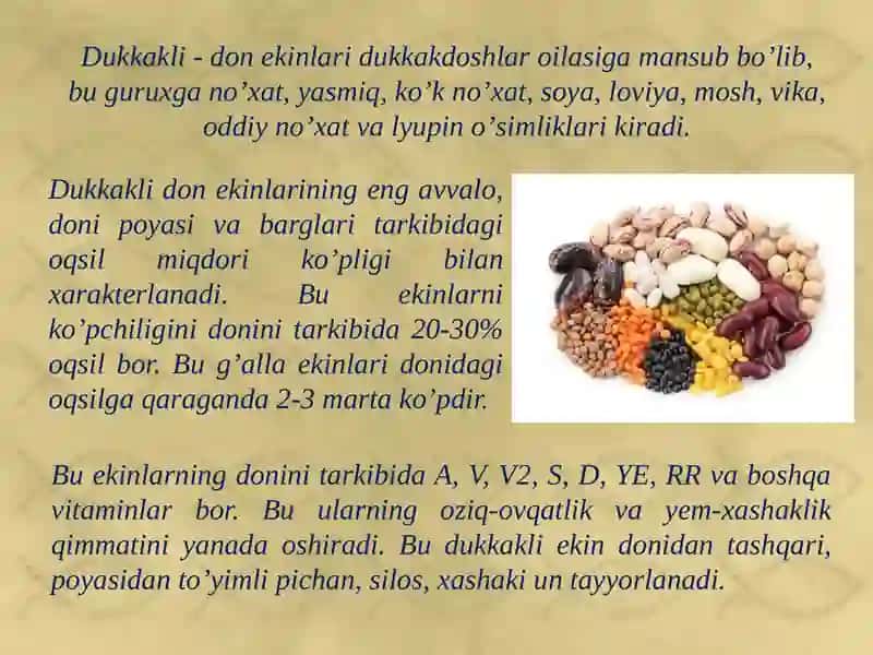 Dukkakli ekinlarni xalq xo’jaligidagi ahamiyati va tarqalishi 2