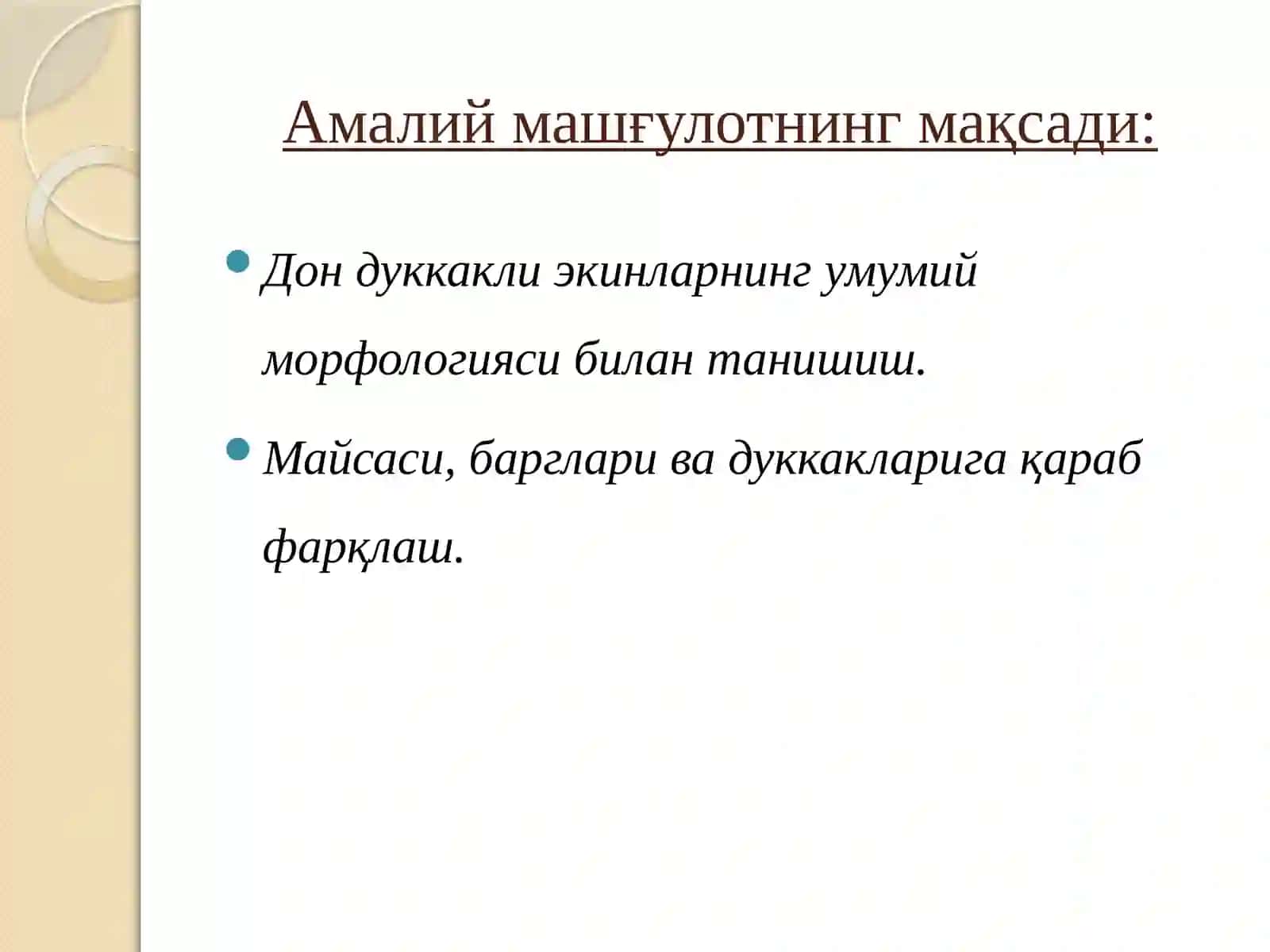 Дуккакли дон экинларни морфологияси 2