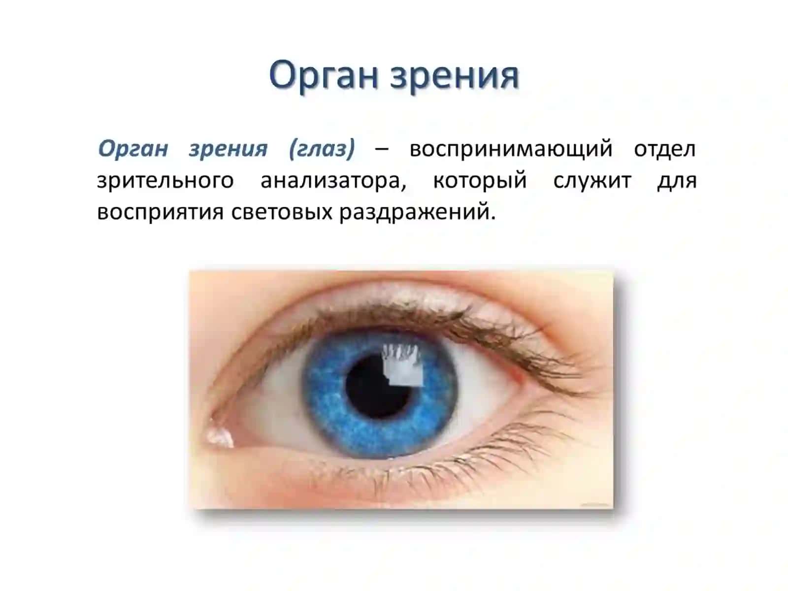 Глаз работает как фотоаппарат 2