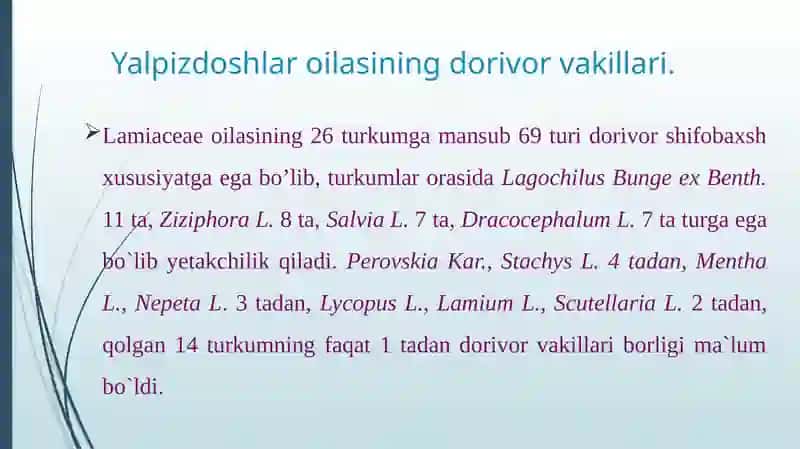 Yalpizdoshlar oilasining dorivor vakillari 2