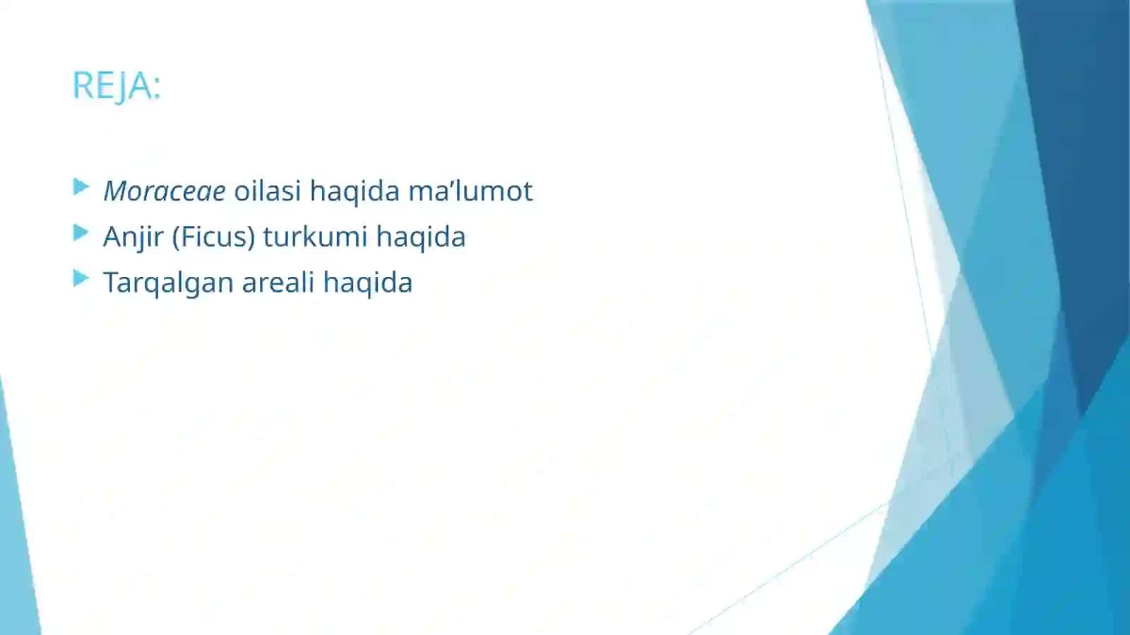 MORACEAEOILASIDAGI TURLAR BIOLOGIYASI 2