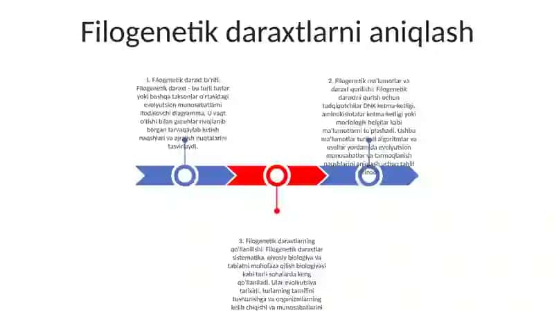 Filogenetik Daraxt Oid Masala Va Mashqlar Tuzish Hamda Yechish Metodikasi 2