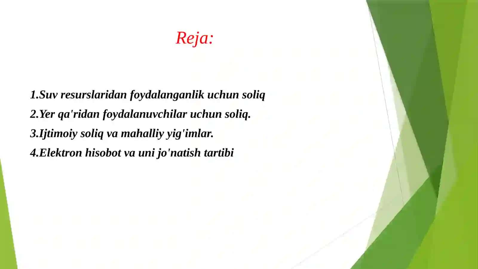 SOLIQ VA SOLIQQA TORTISH 2