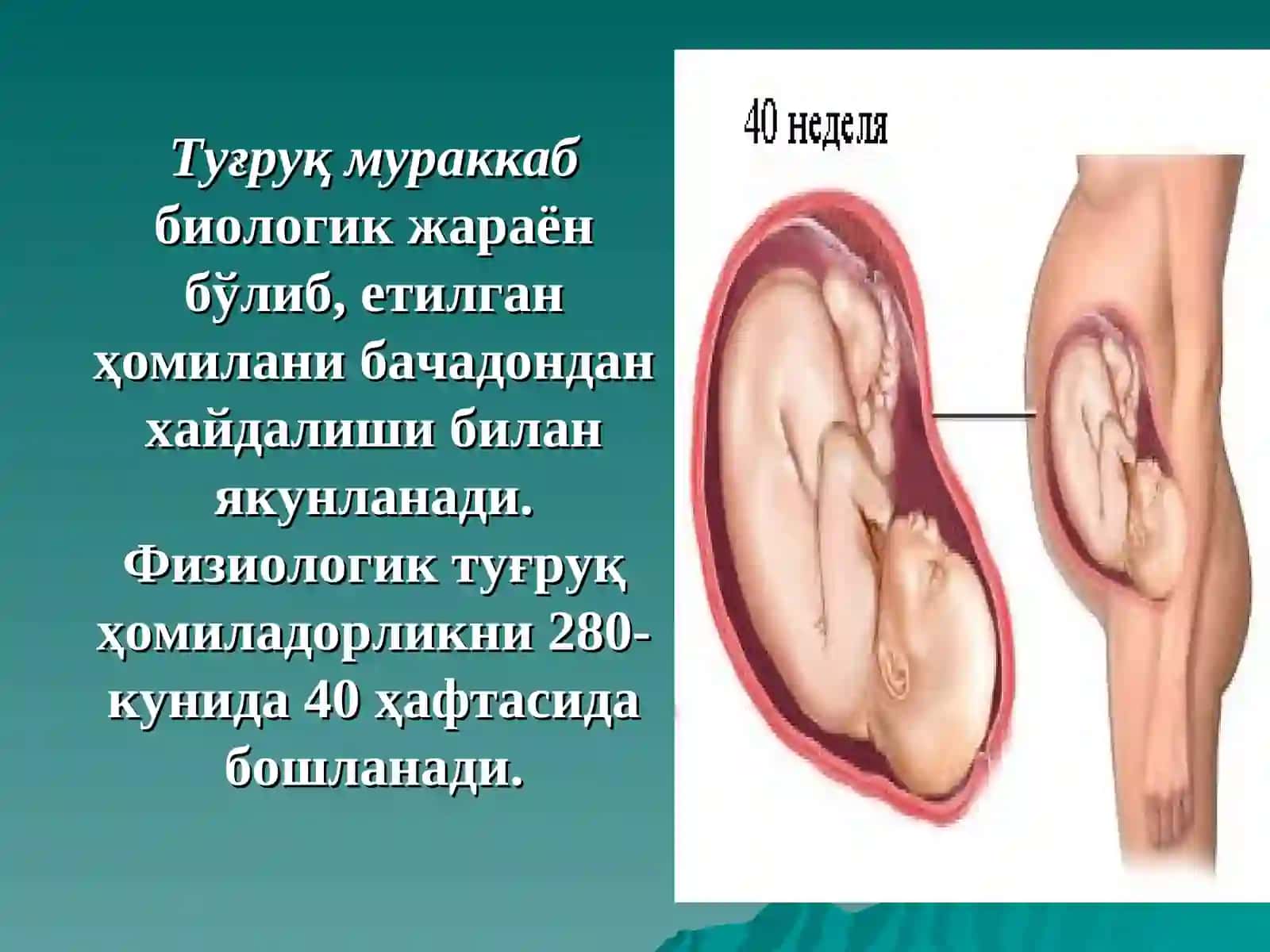 Нормал тугрук. Нормал тугрукни олиб бориш принциплари 2
