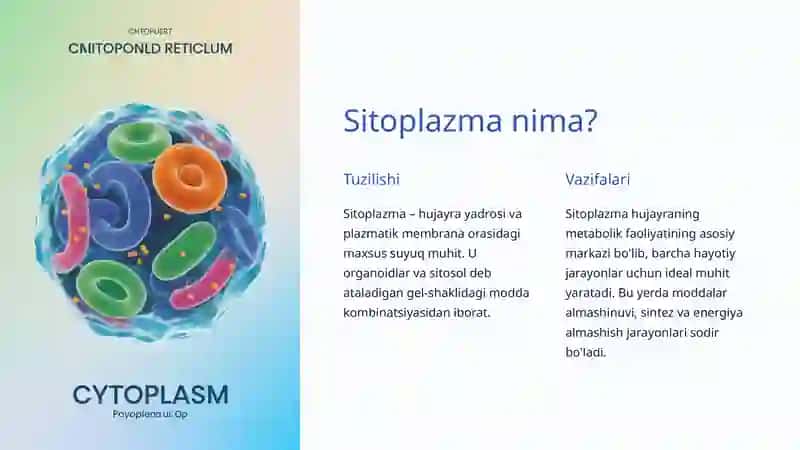 Sitoplazma va Organoidlar: Hujayra ichidagi hayot 2