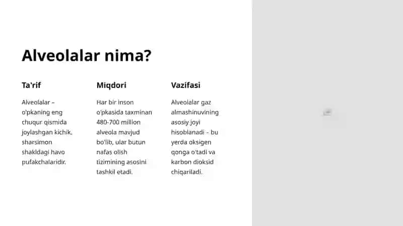 Alveolalar tuzilishi va funksiyasi 2