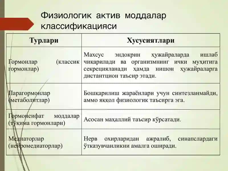 Физиология 2