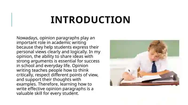 Opinion paragraphs 2