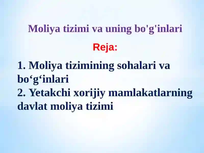 Moliyat izimi va uning bo'g'inlari 2