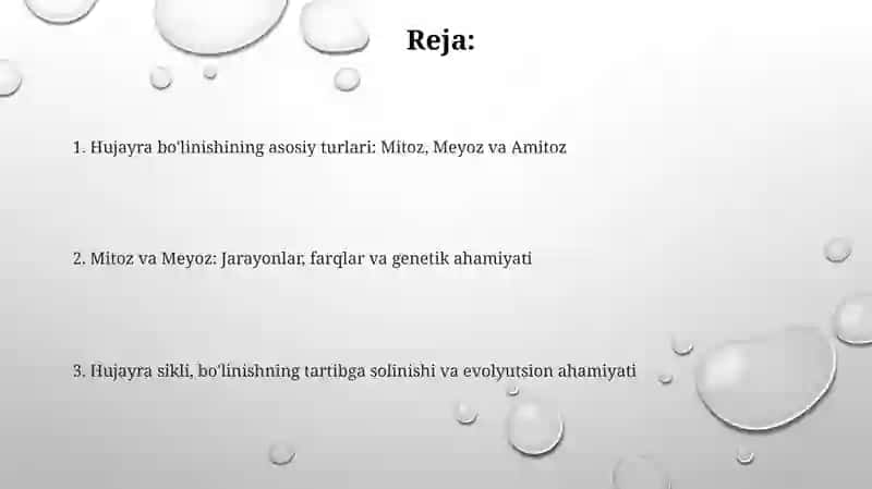 Hujayralarning bòlinishi. Mitoz. Meyoz. Amitoz 2