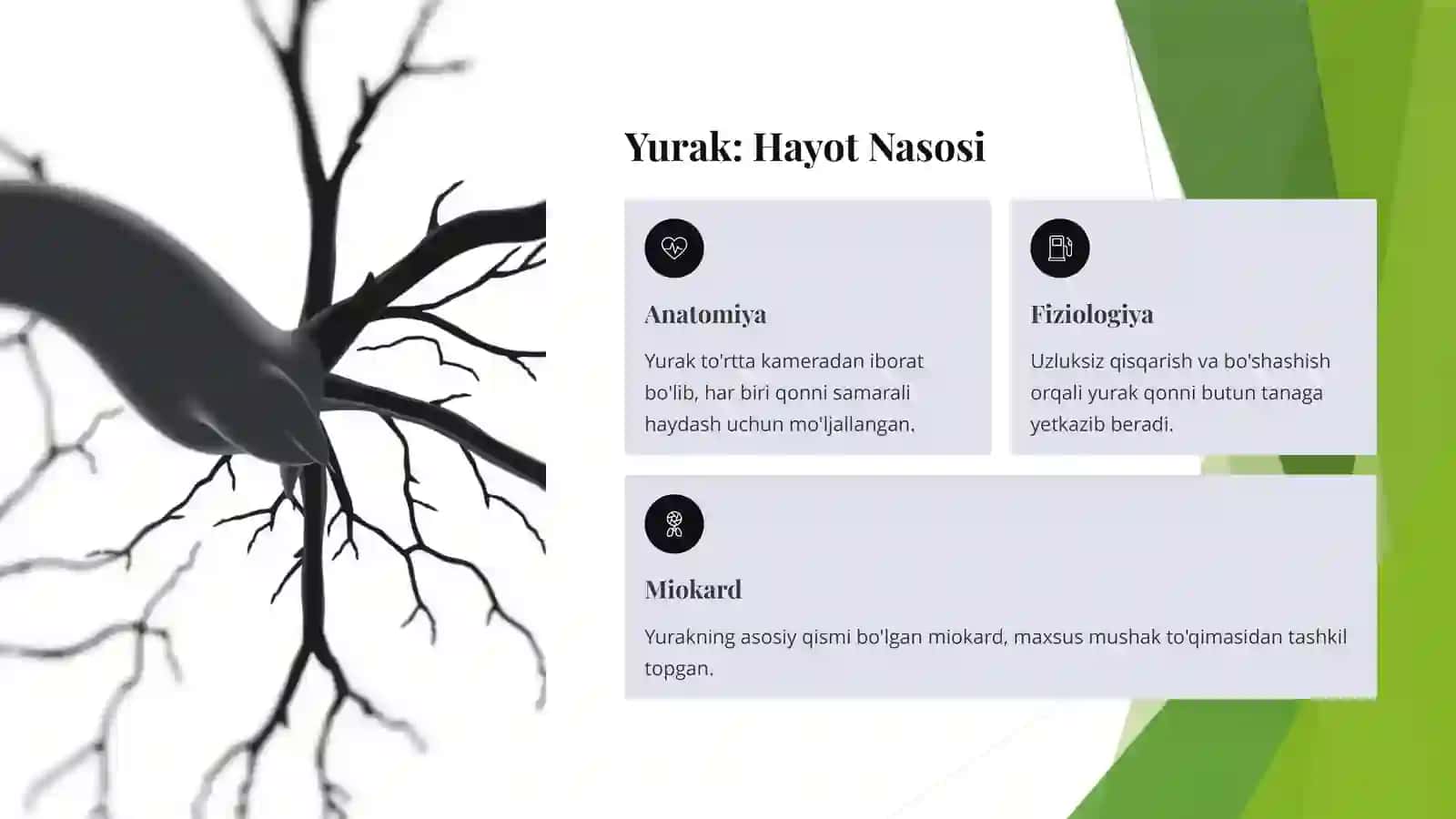 Yurak Muskullari va Qon Tomirlari: Tizimli Tahlil 2