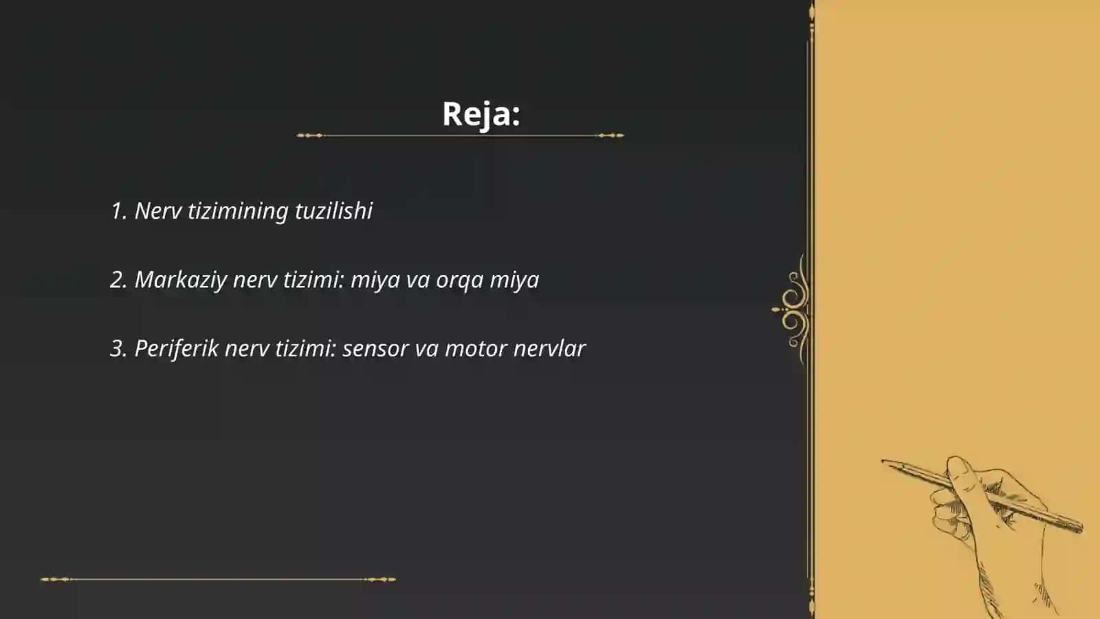 Nerv sistemasi va sigmetlari xaqida 2