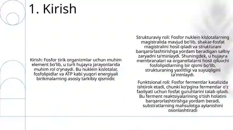 Hujayra Strukturalari Va Fermentlar Tizimining Hosil Bo'Lishida Fosforli Birikmalarning Ishtiroki 2