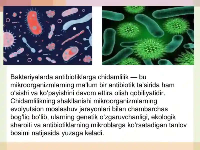 Bakteriyalarning antibiotiklarga chidamli shakllarini paydo bo‘lish mexanizimlari. 2