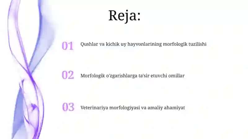 Qushlar va kichik uy hayvonlarining morfologiyasi 2
