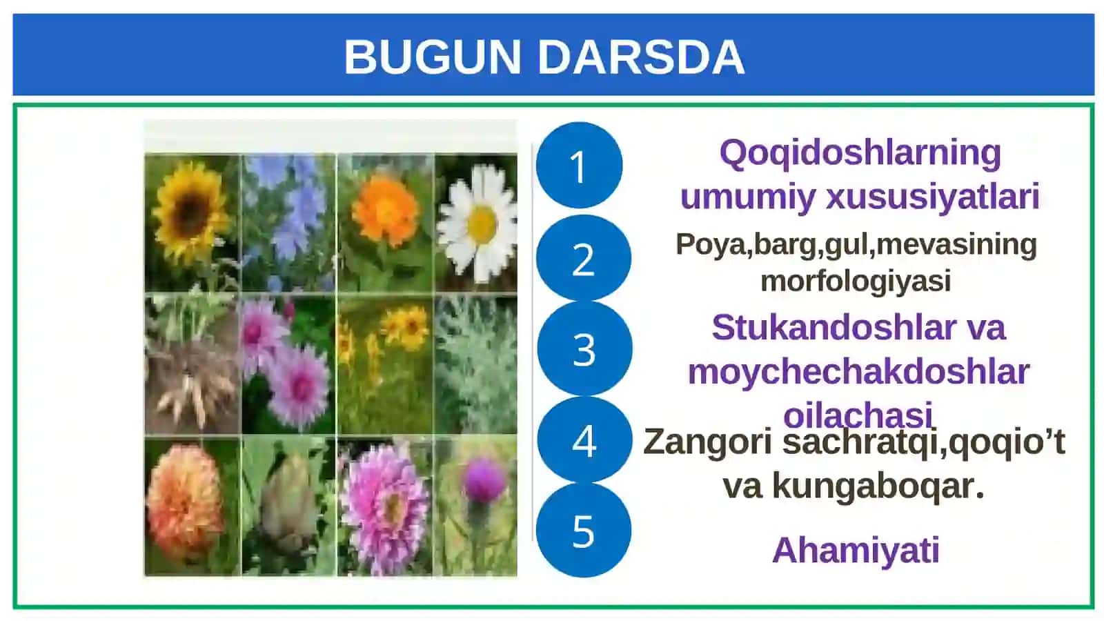 Qoqidoshlar 2