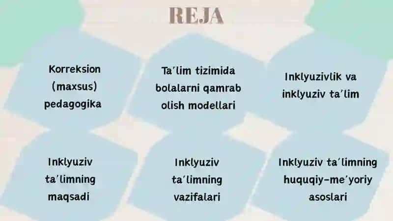 MAXSUS INKLYUZIV TA’LIM 2