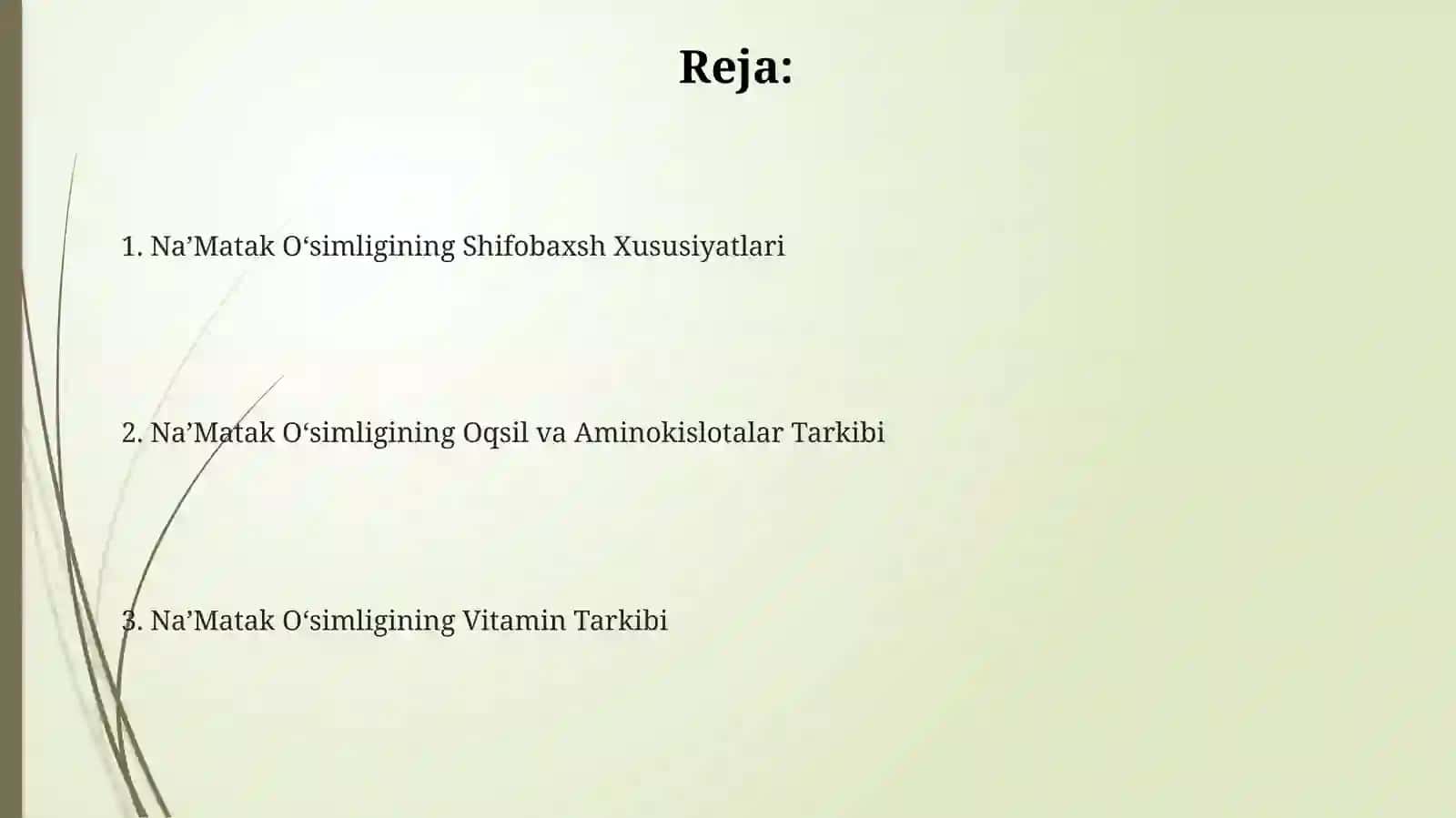 Na’Matak Oʻsimligining Shifobaxsh Xususiyati 2