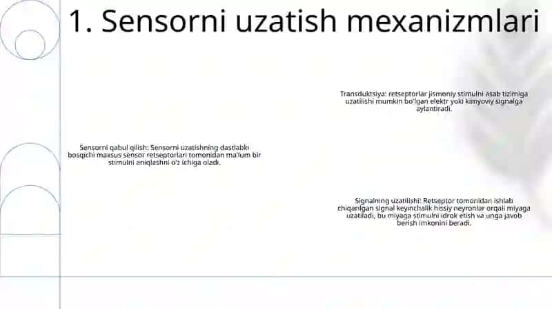 Sensor Tizimlar Faoliyatining Biokimyoviy Asoslari 2