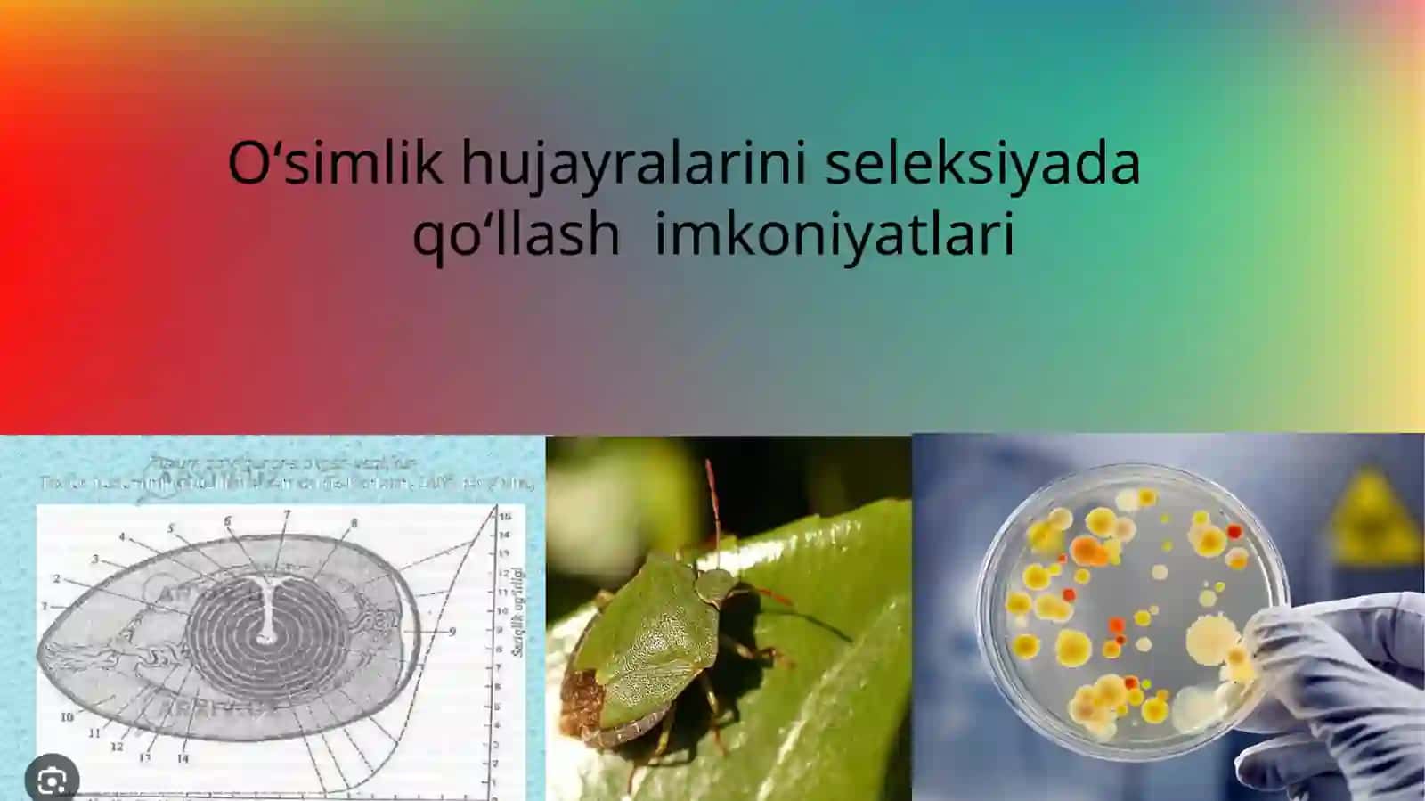 Oʻsimliklar biotexnologiyasi 2