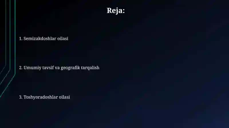 Toshyorarnamolar oilasi 2
