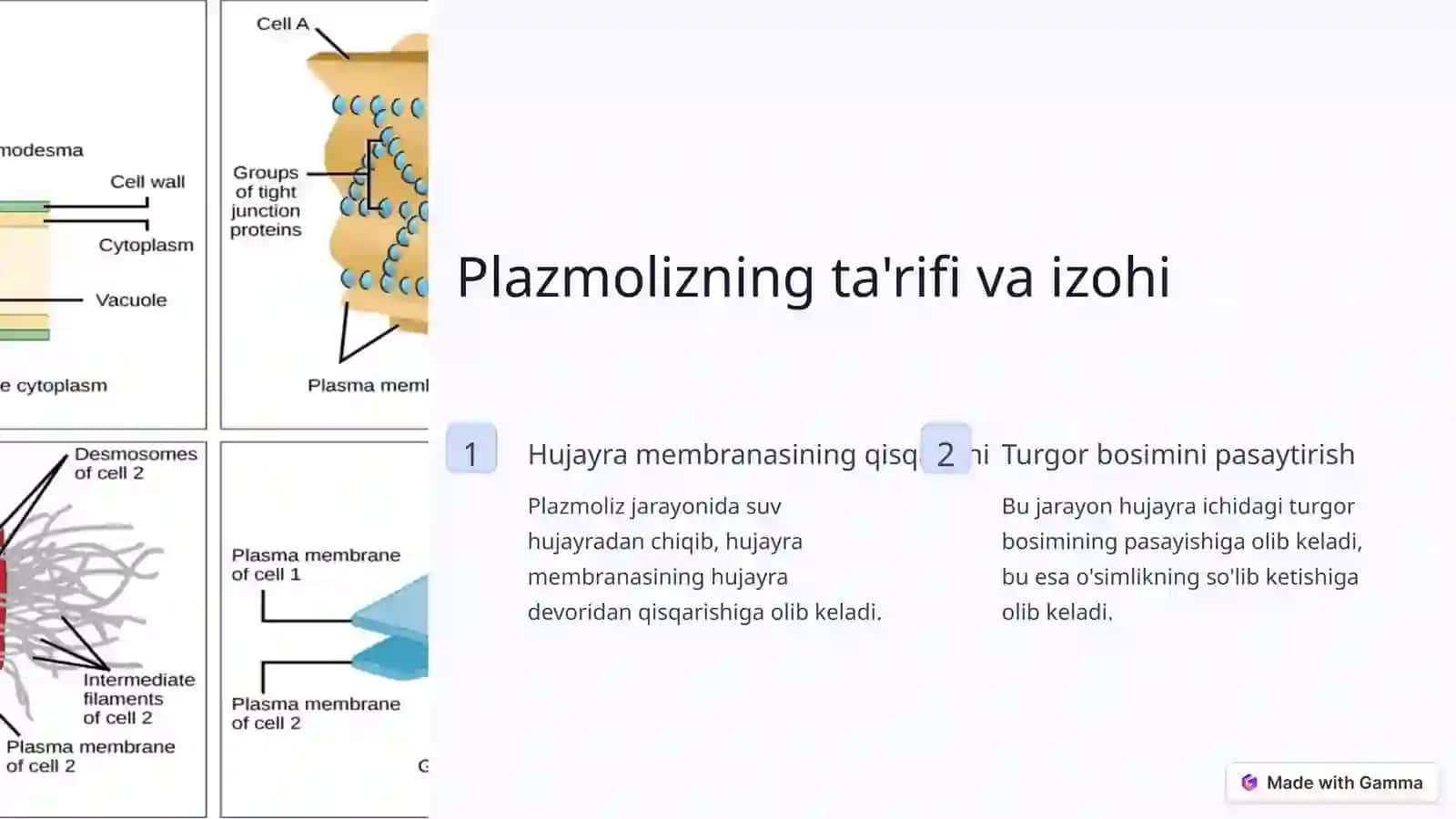 Plazmoliz va deplazmolizga kirish 2