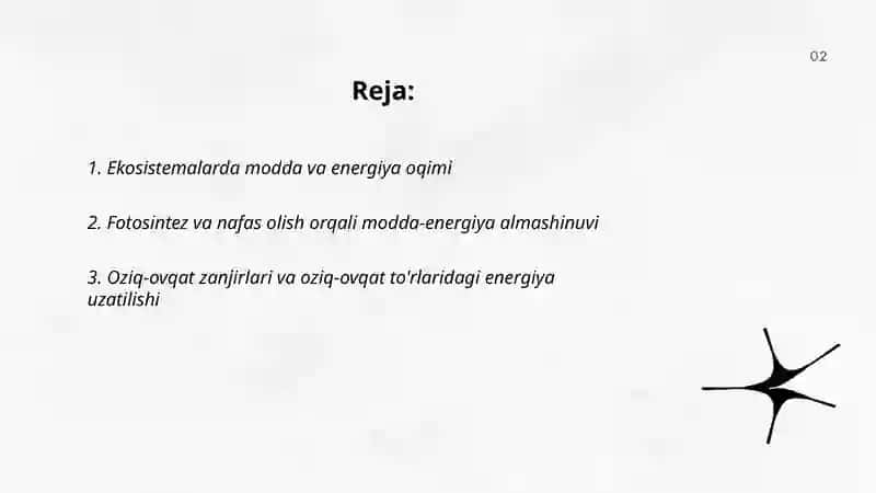 Ekosistemalarda modda va energiya oqimi 2
