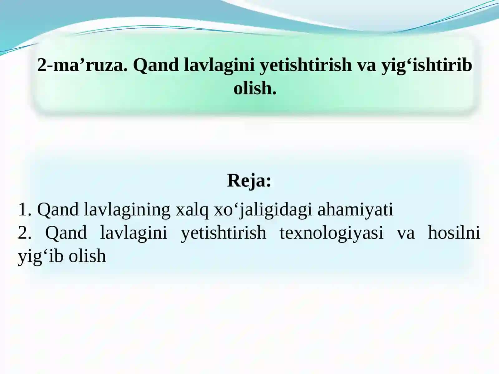 Qand lavlagini yetishtirish va yig‘ishtirib olish 2
