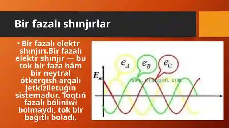 Elektr shınjırı 2