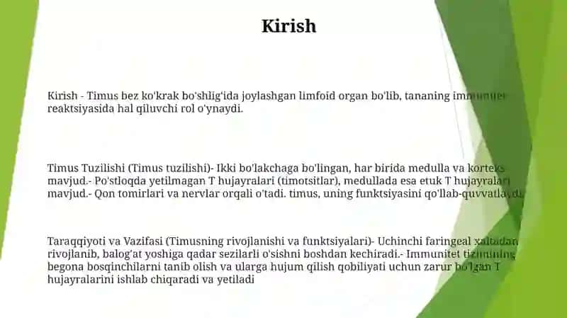 Timus Tuzilishi, Taraqqiyoti Va Vazifasi 2
