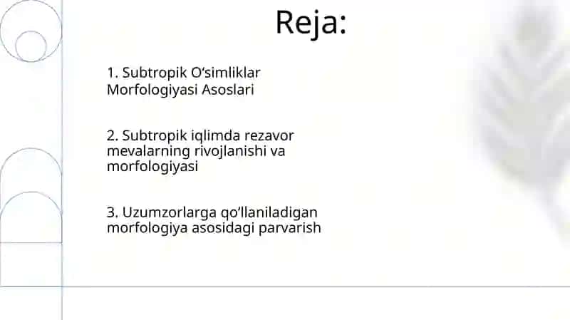 Subtropik Oʻsimliklar va Rezavor Mevalar Morfologiyasi 2