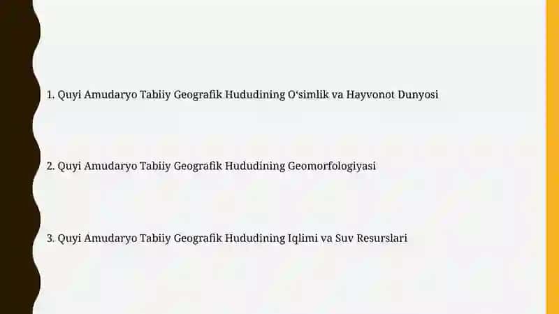 Quyi Amudaryo tabiiy geografik okrugi 2