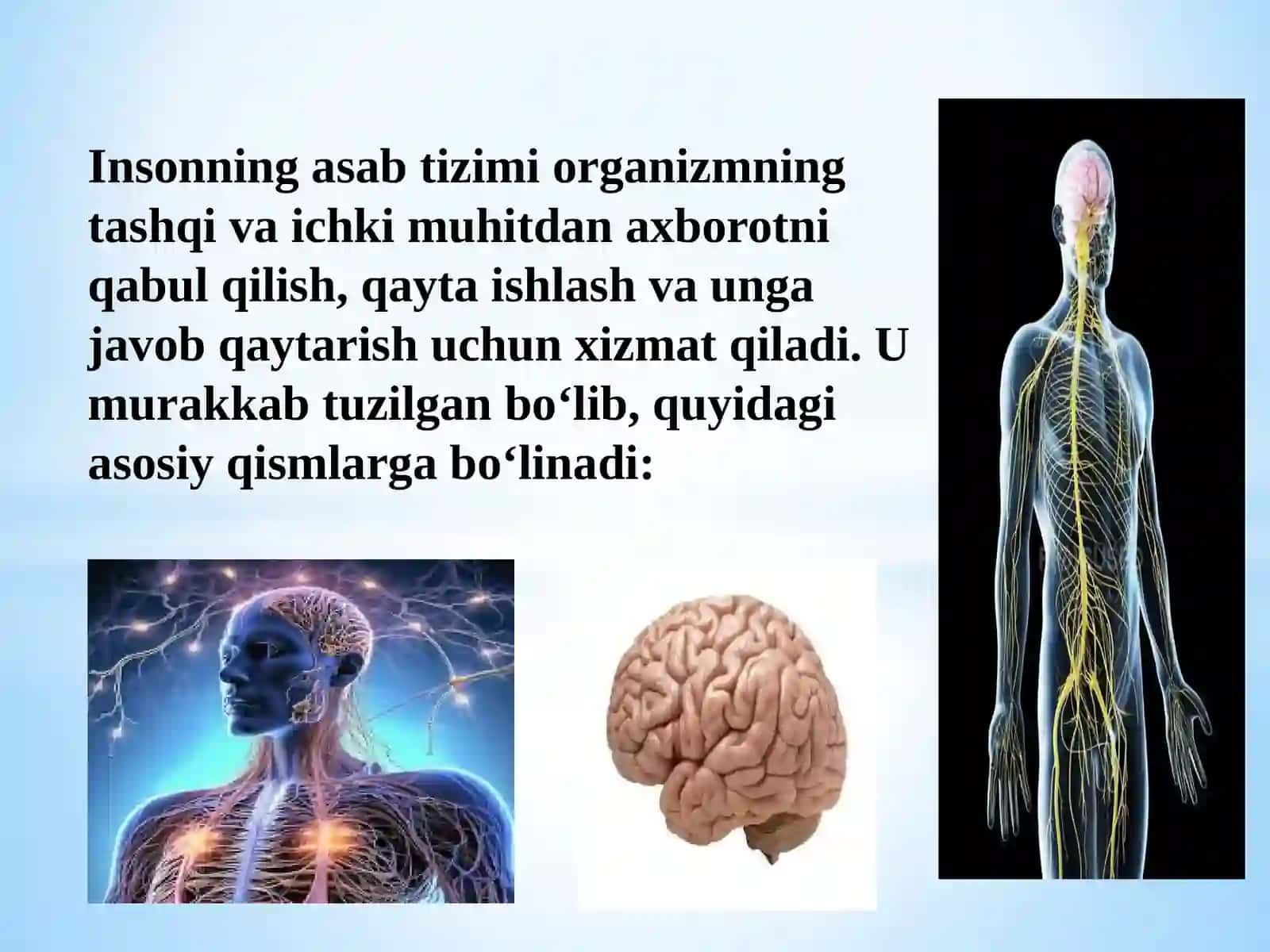 Markaziy asab tizimiga taʼsir qiluvchi vositalar 2