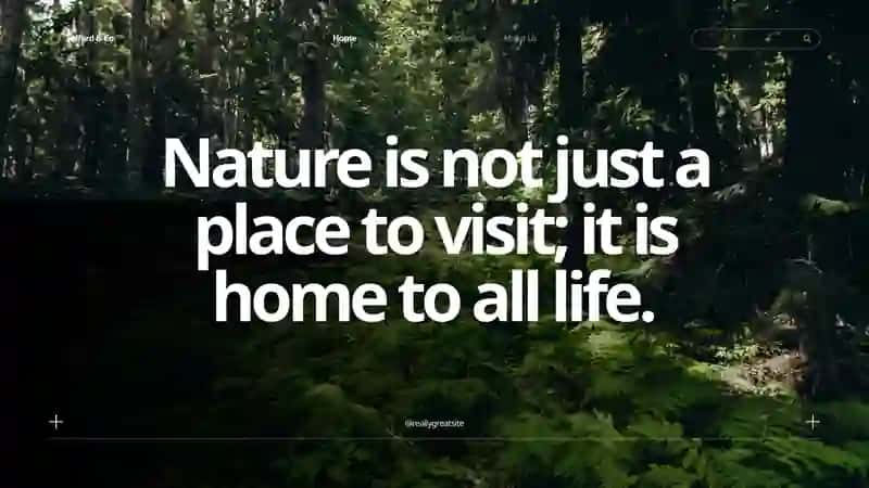 Nature 2