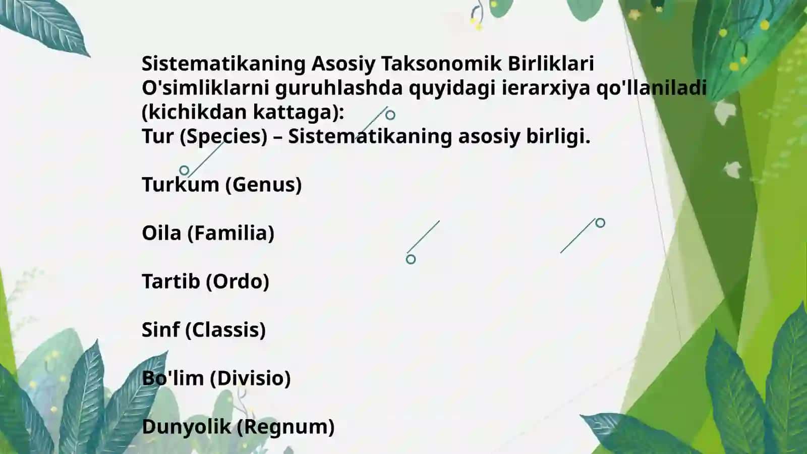 O'simliklar Sistematikasi: Tasniflash asoslari va ahamiyati 2