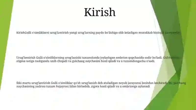 Оплодотворение Цветковых Растений 2