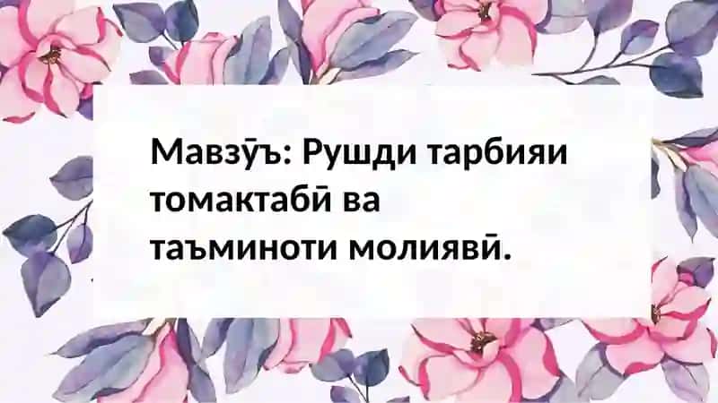 Рушди тарбияи томактабӣ ва таъминоти молиявӣ 2