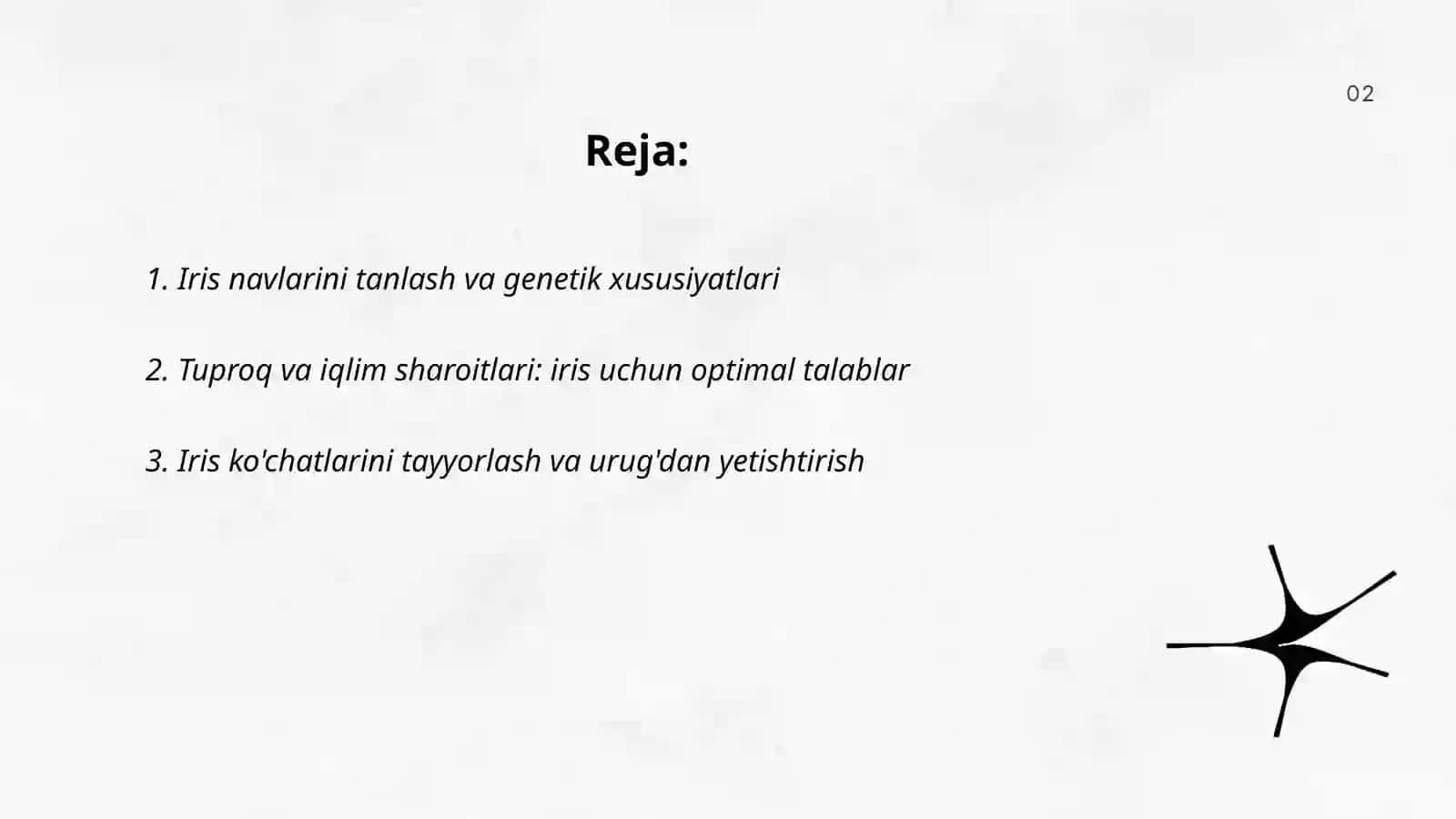 Iris ishlab chiqarish 2