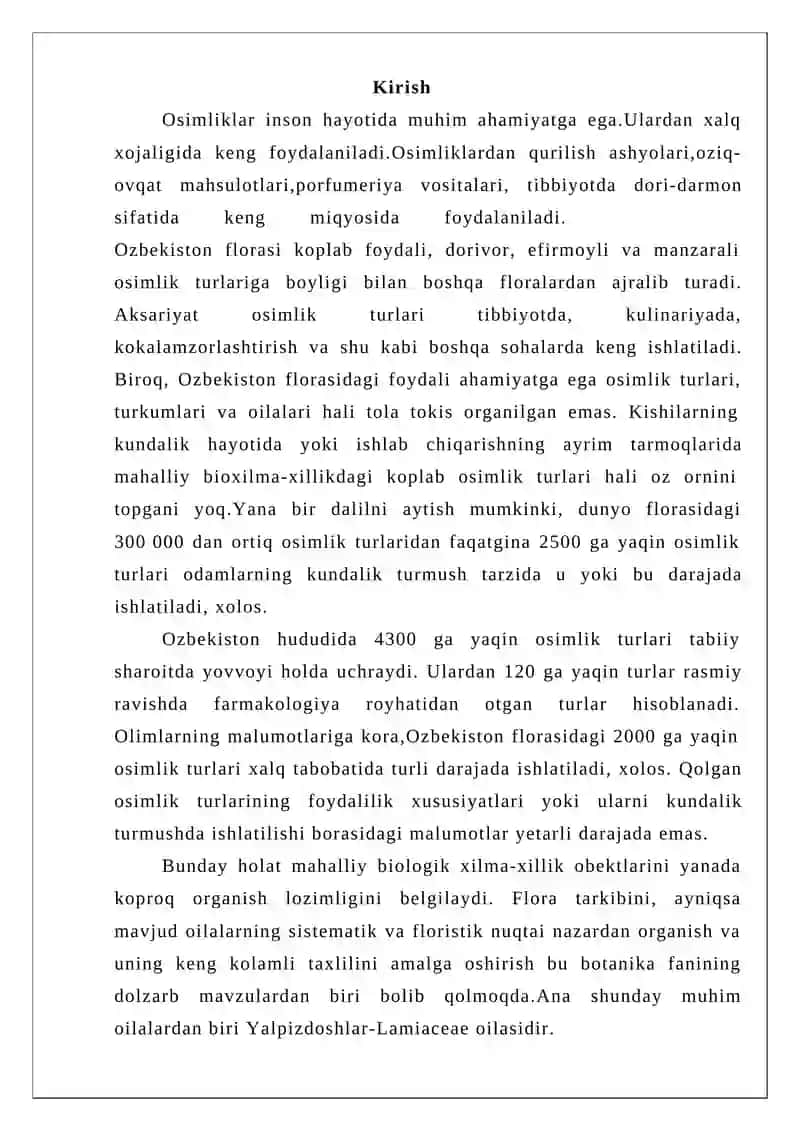 Yalpizdoshlar oilasi haqida umumiy malumot 2