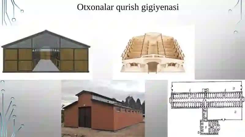 YILQICHILIK XO‘JALIGI LOYIHALARI 2