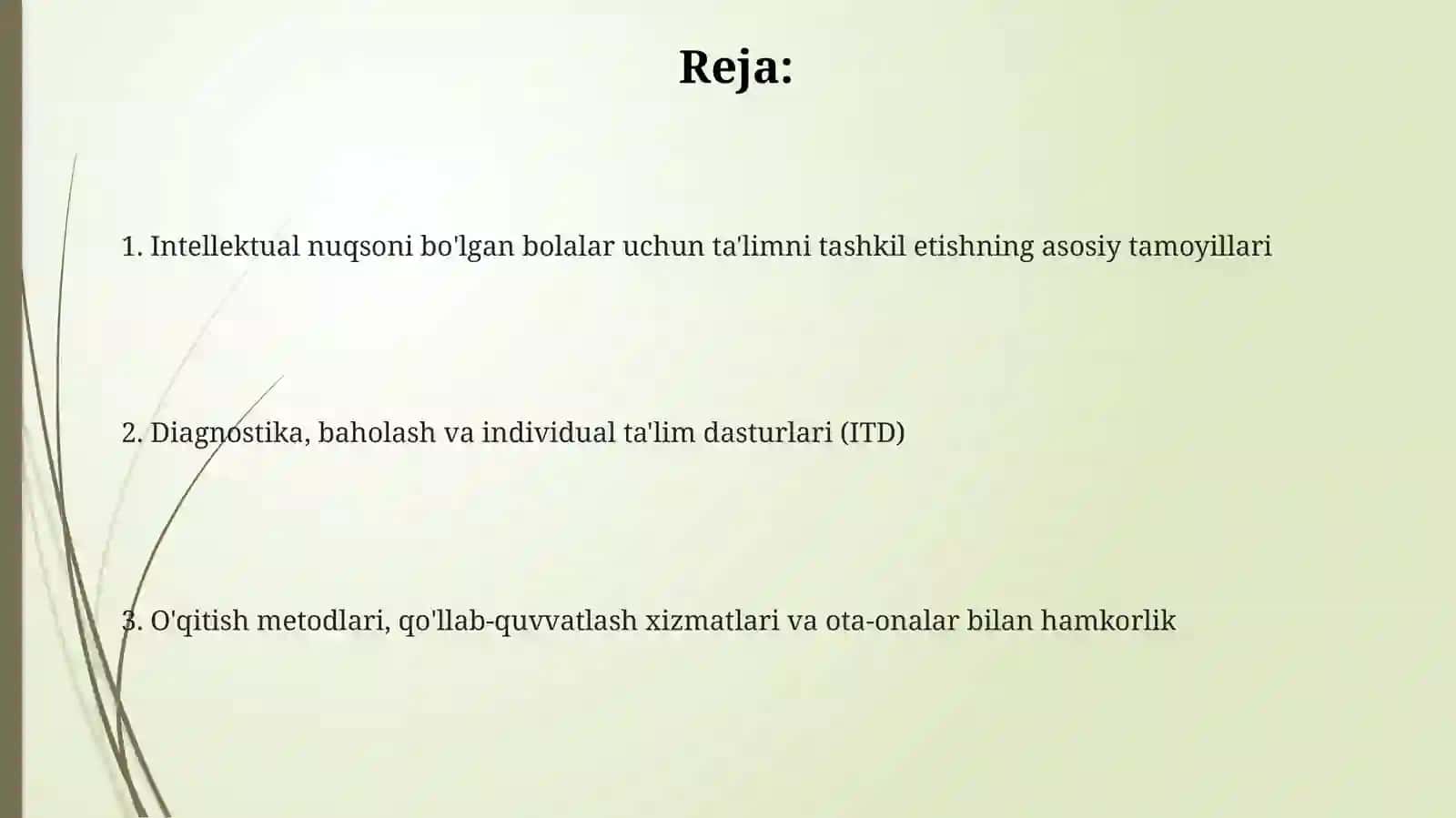 Intellektual nuqsoni bo'lgan bolalar uchun ta'limni tashkil etishning asosiy tamoyillari 2
