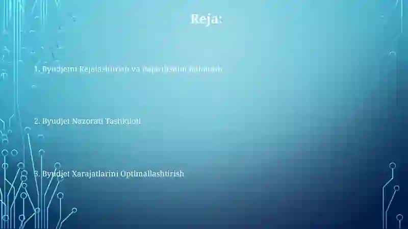 Byudjet nazoratini tashkil qilish 2