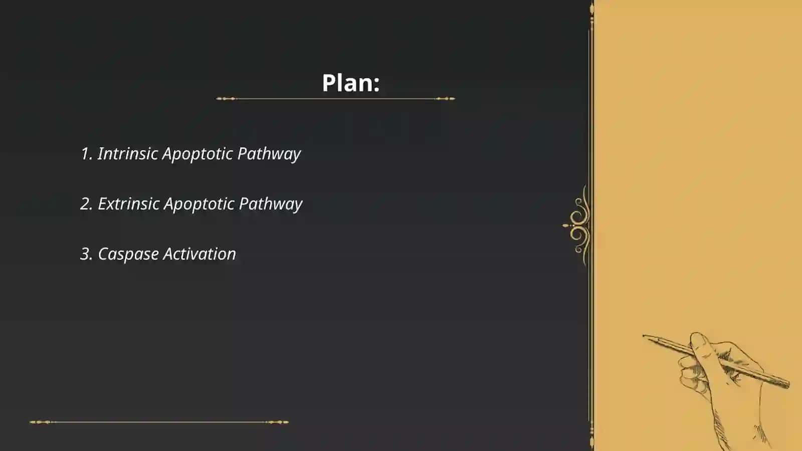 Apoptosis mechanisms 2